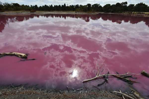 粉色盐湖在哪里（世界十大储存量最高的盐湖）