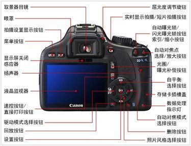 用摄影棚拍静物怎么设置单反相机参数,佳能550D,